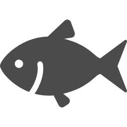 fish娘